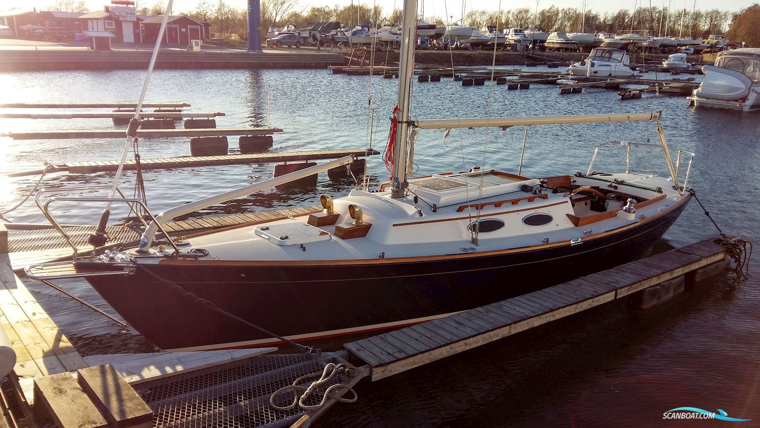 Alerion Express 28