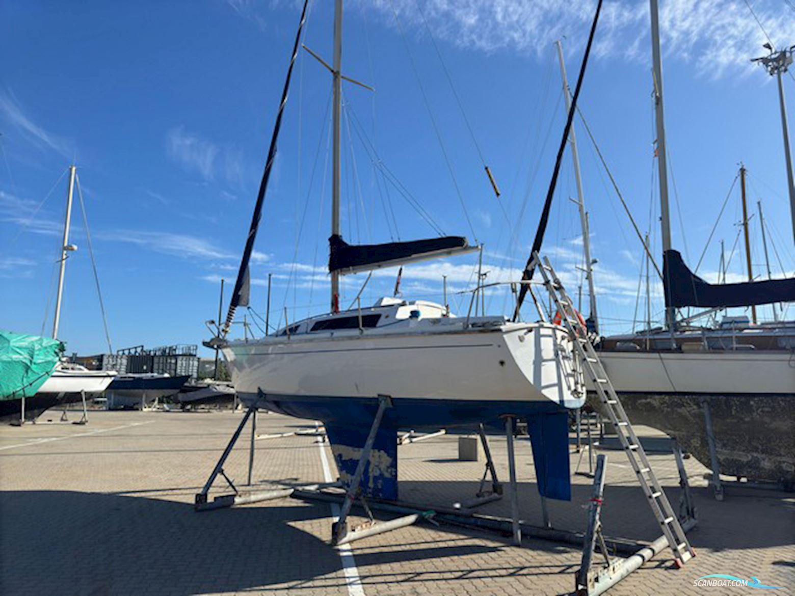 Aloa 27