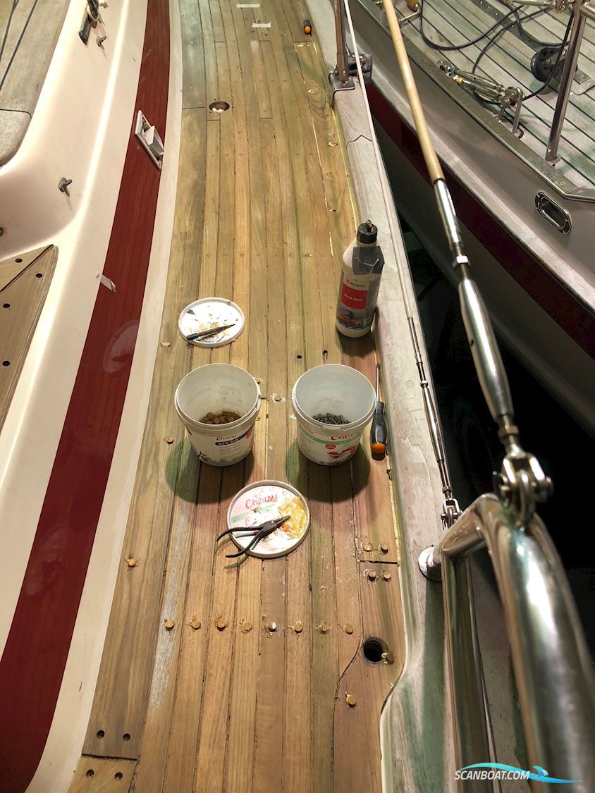 Aphrodite 36