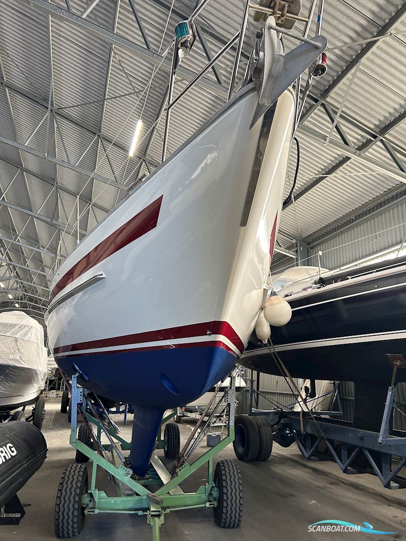 Aphrodite 36