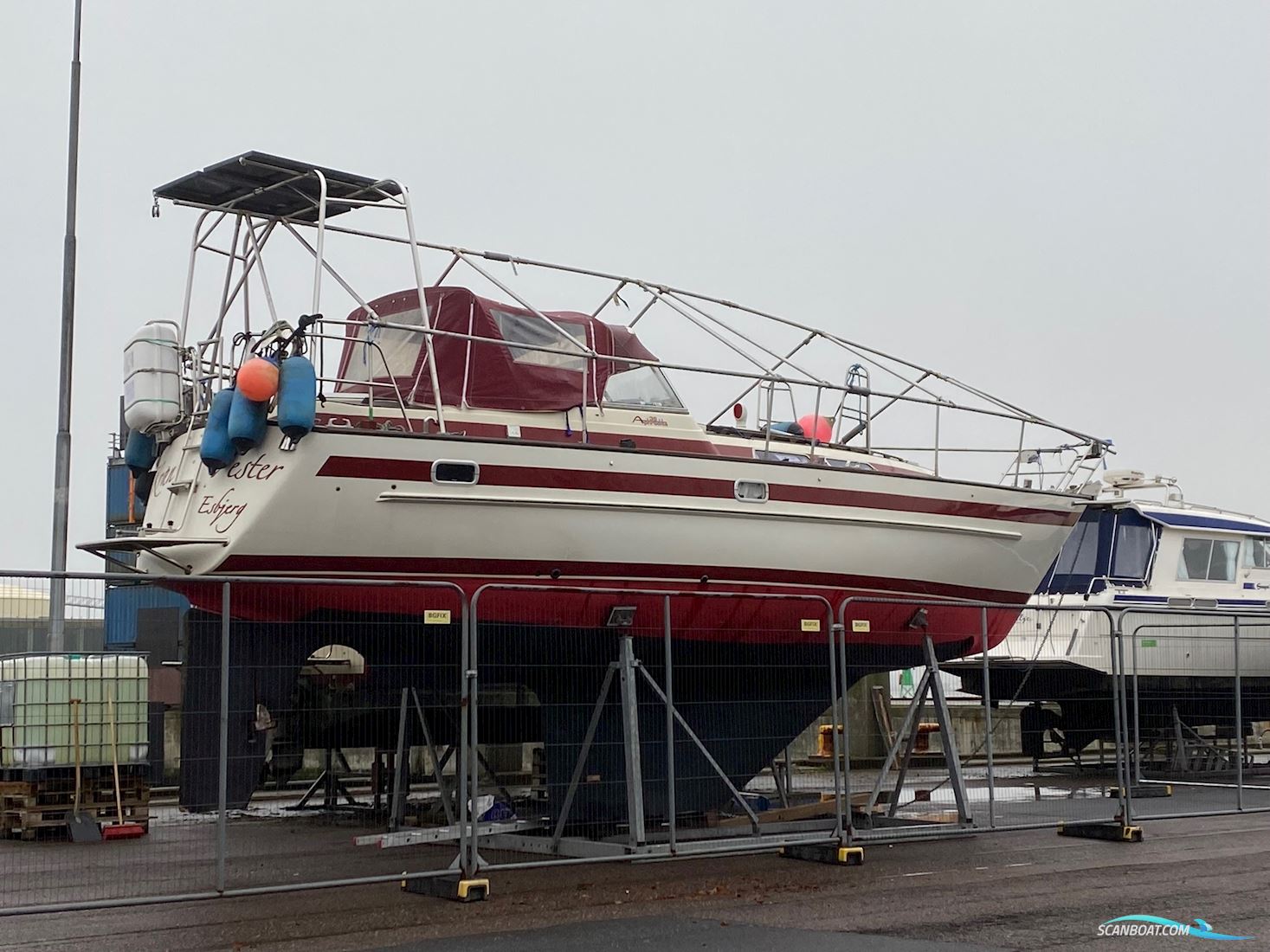 Aphrodite 36