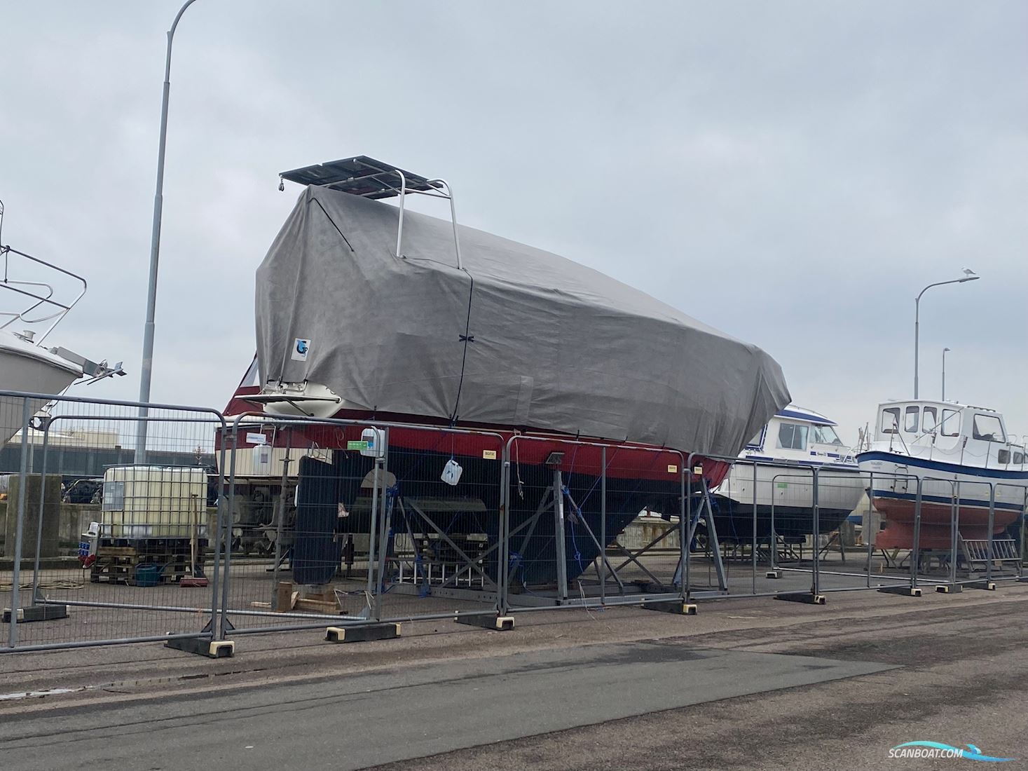 Aphrodite 36