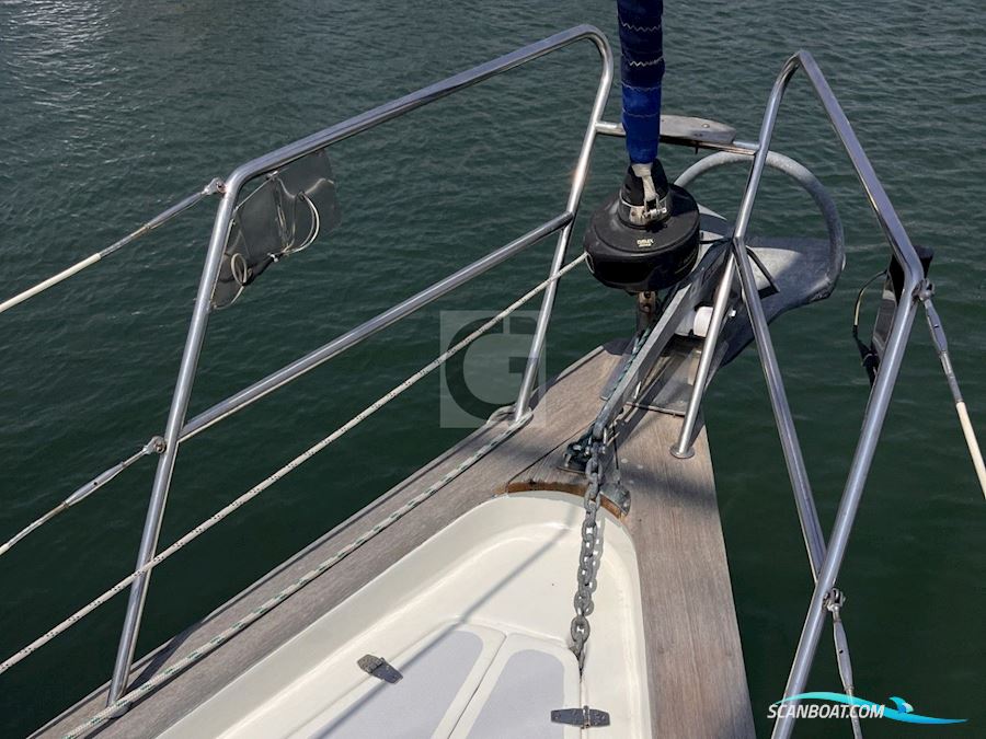 Aphrodite 42