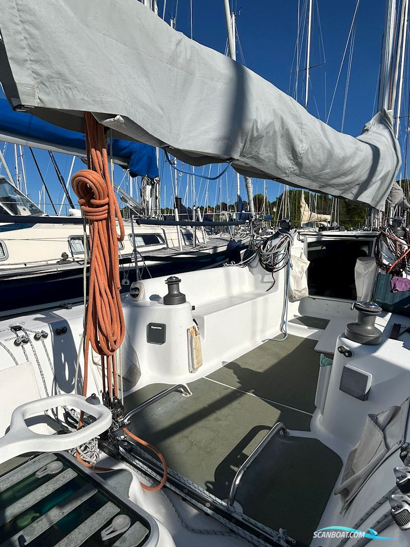 Archambault Grand Surprise