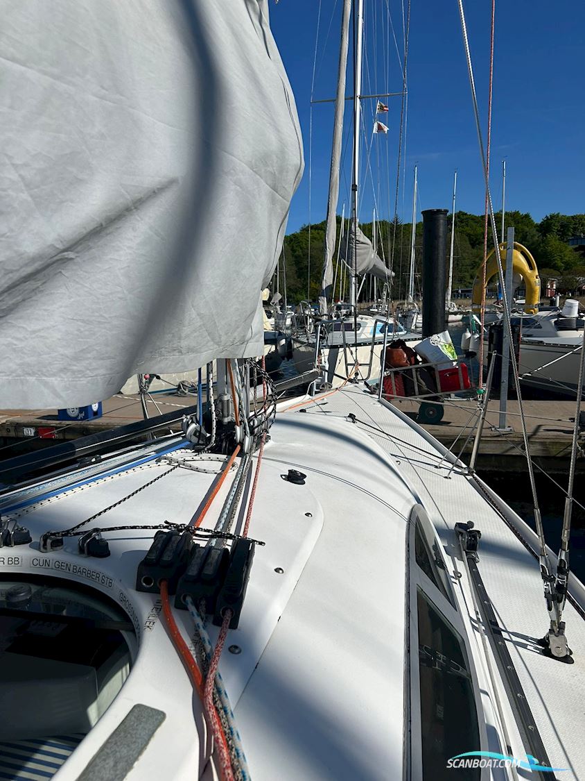 Archambault Grand Surprise