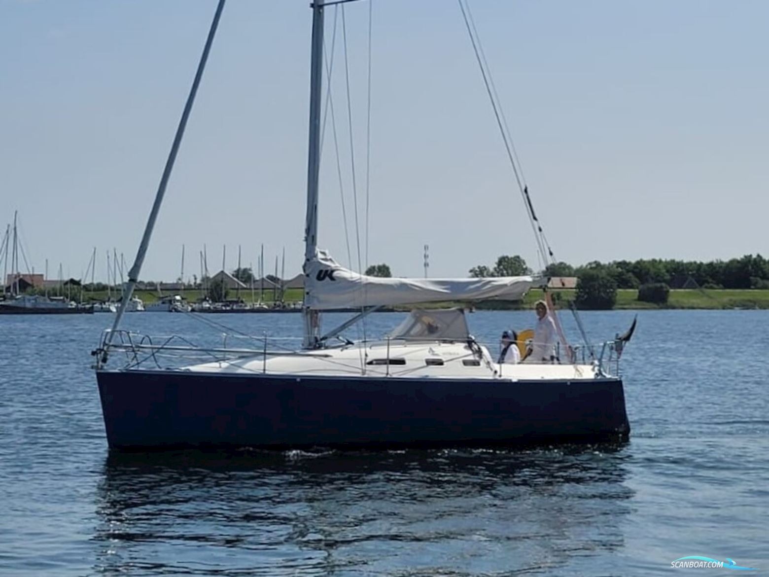 Astraea 295 Sprinter