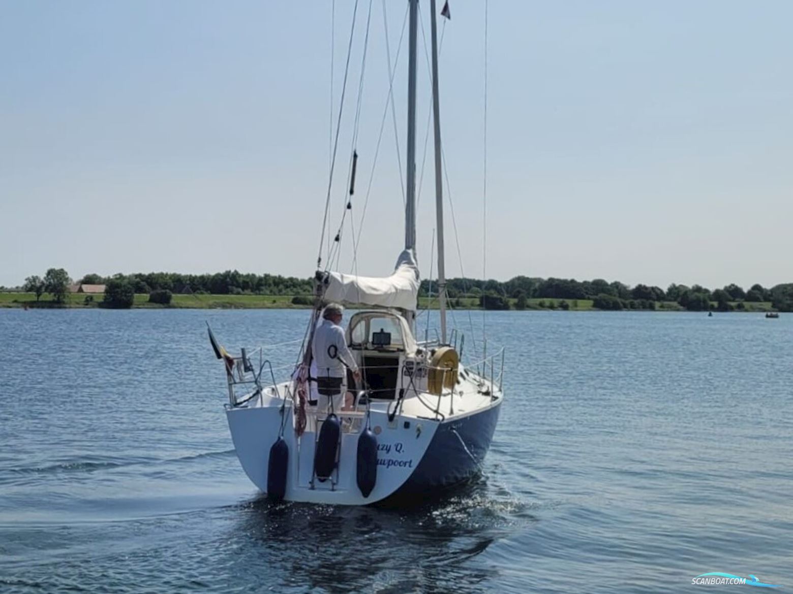 Astraea 295 Sprinter