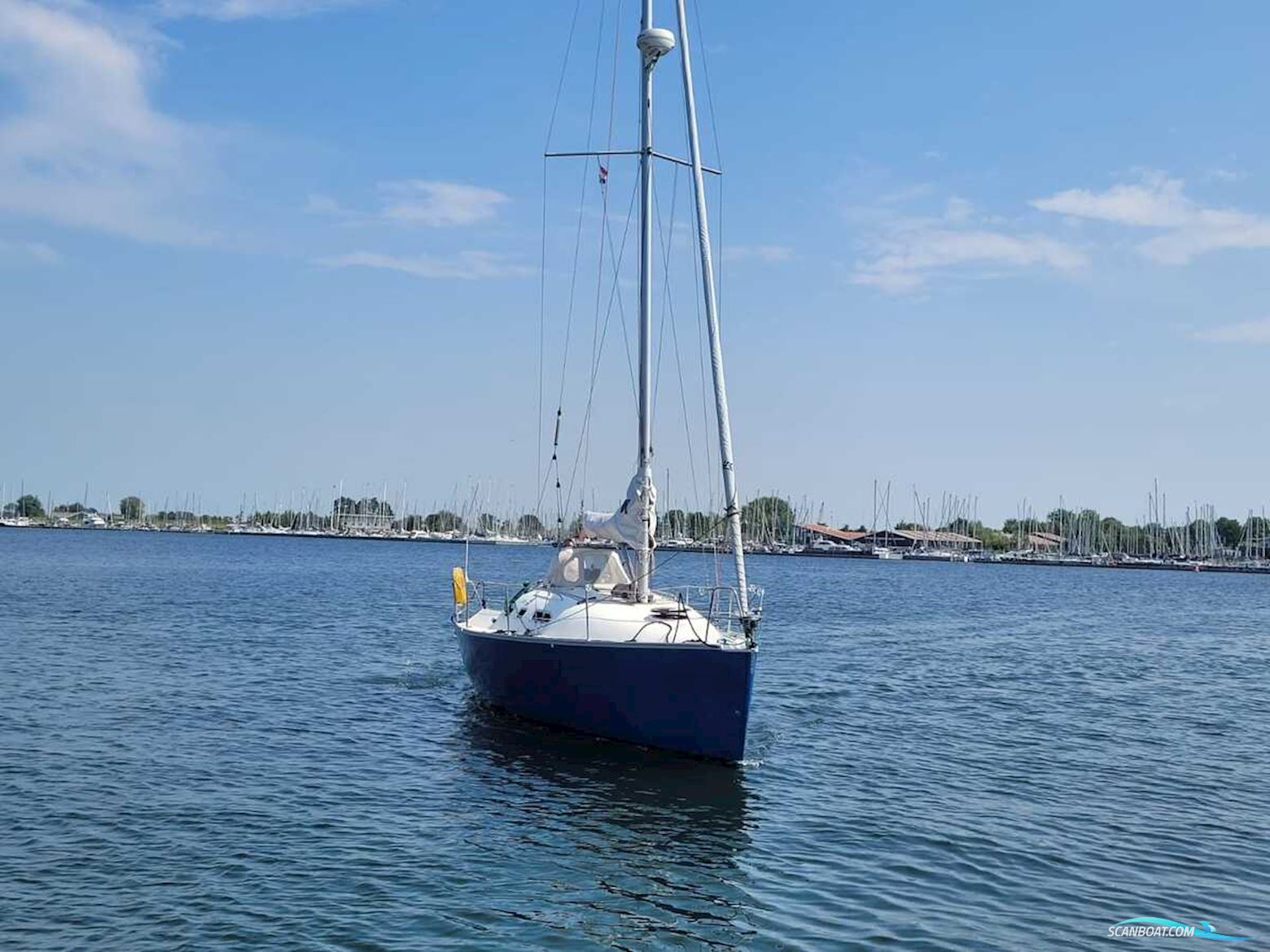 Astraea 295 Sprinter