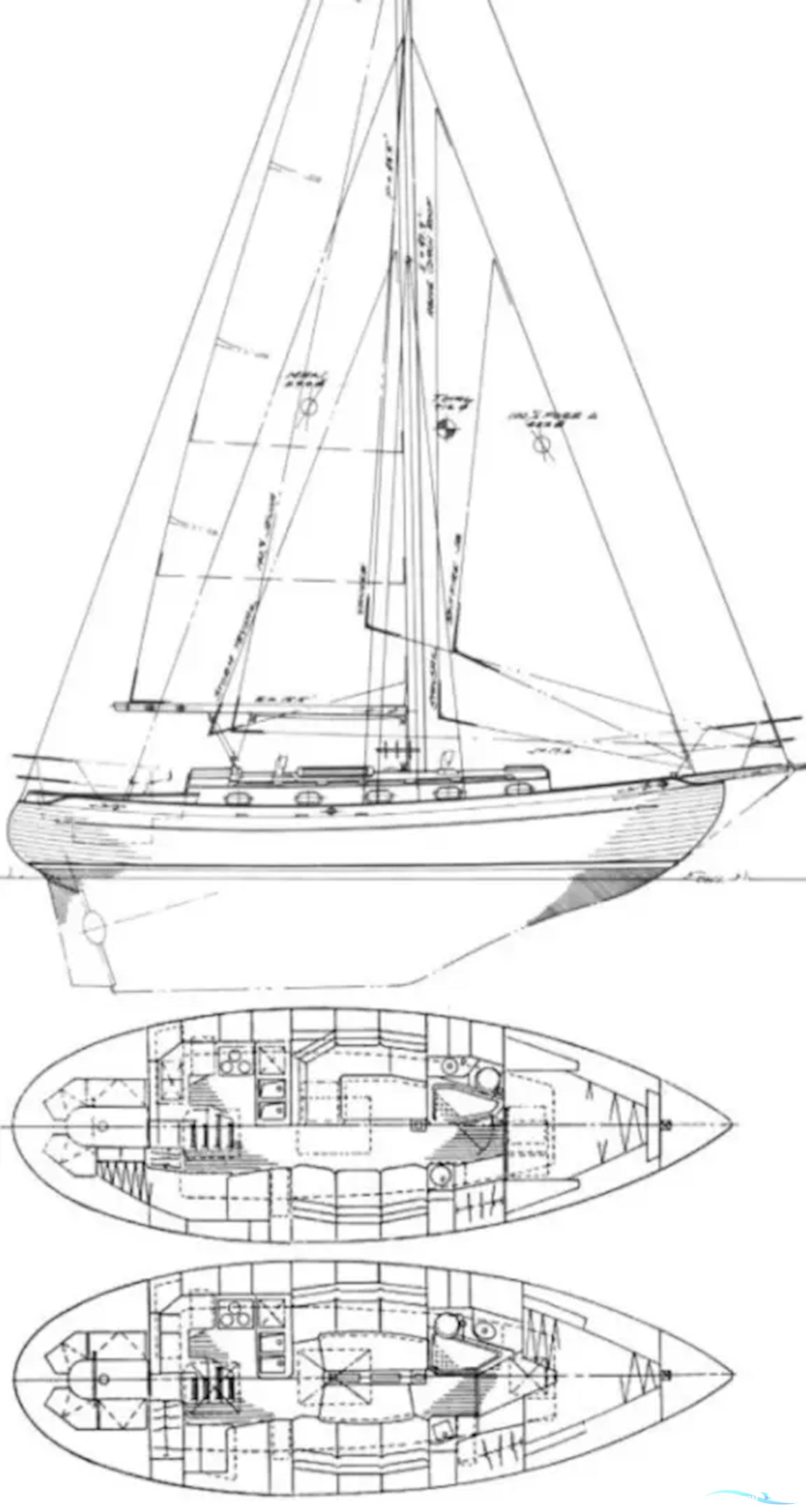 Baba 35