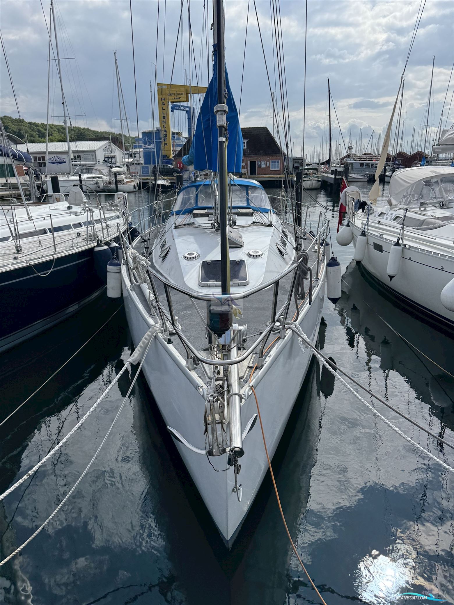 Baron Yachtbau Baron 38