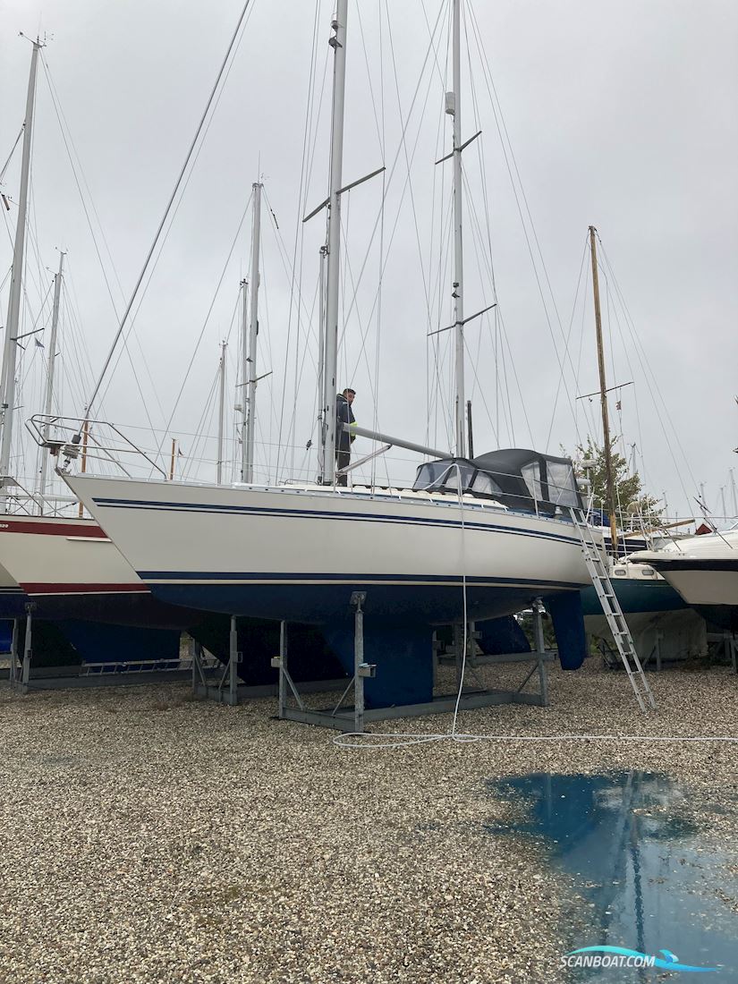 Bavanca 320 / Bianca 320