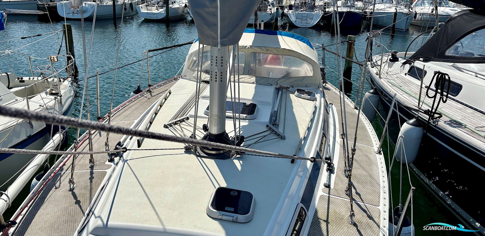 Bavanca 320/Bianca 320