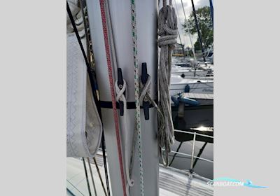 Bavaria 30 Cruiser Sailingboat 2007, with Volvo Penta engine, The Netherlands