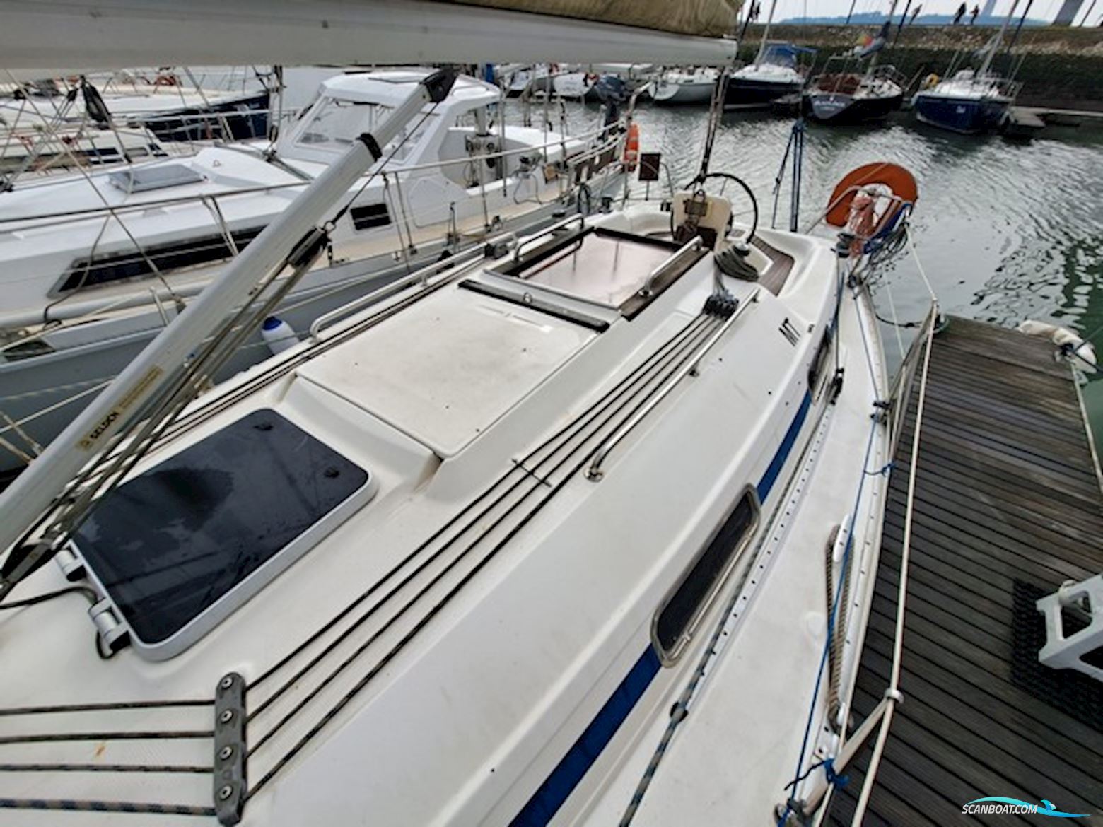 Bavaria 31