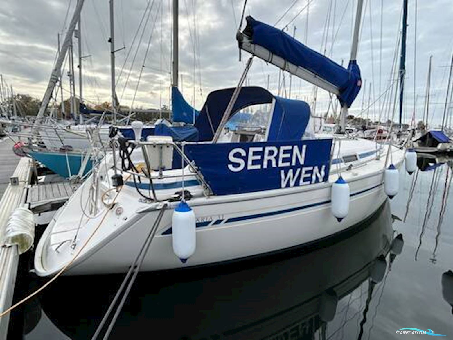 Bavaria 31