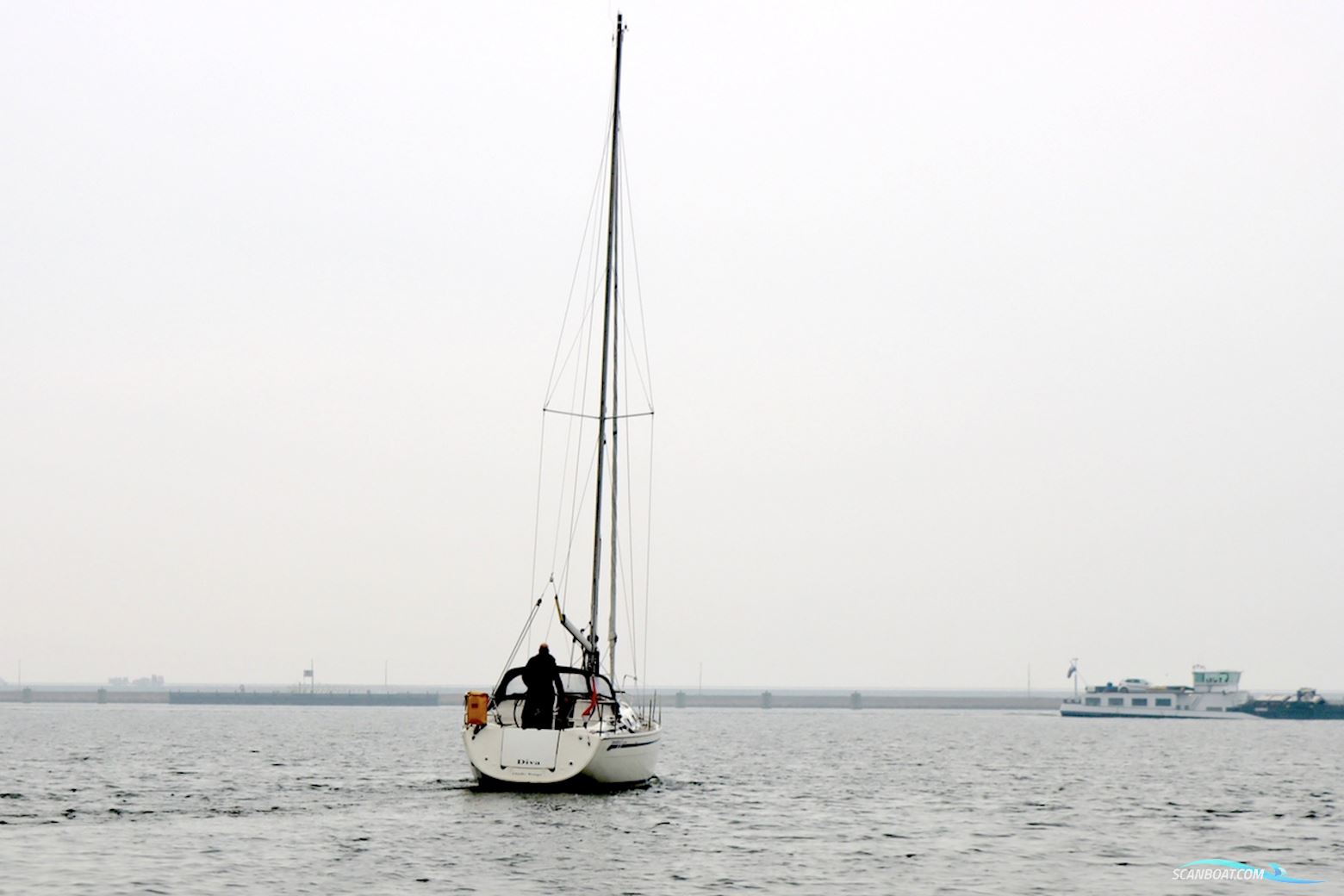 Bavaria 31