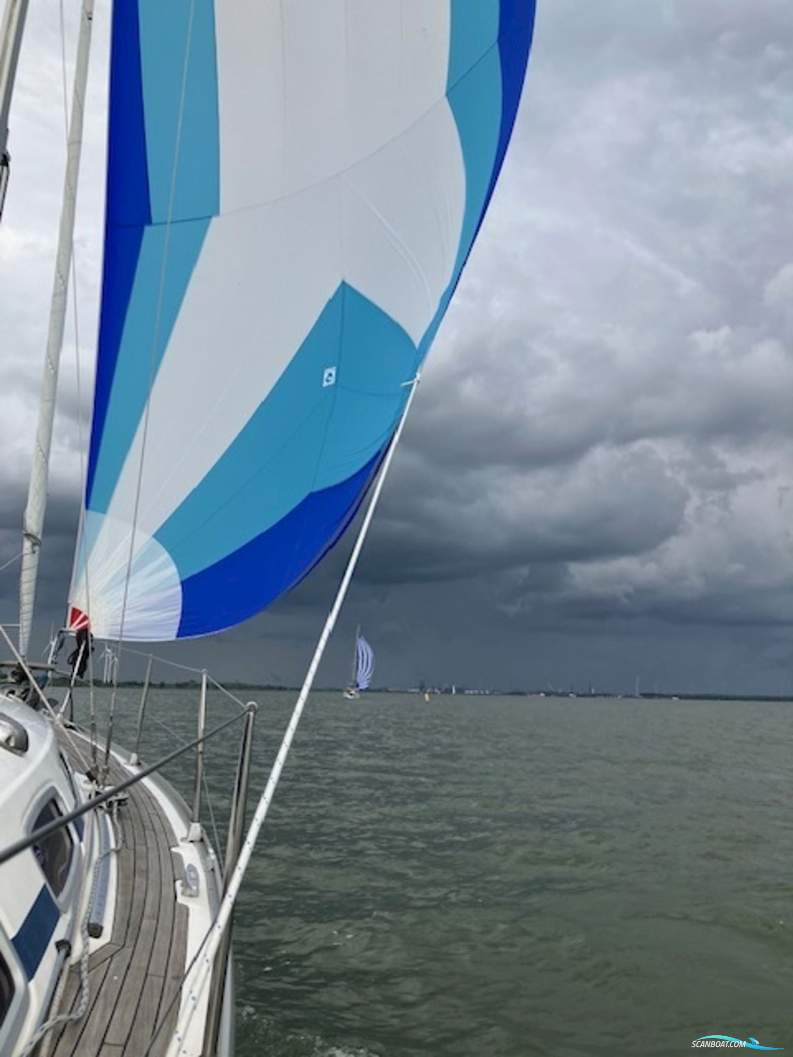 Bavaria 31