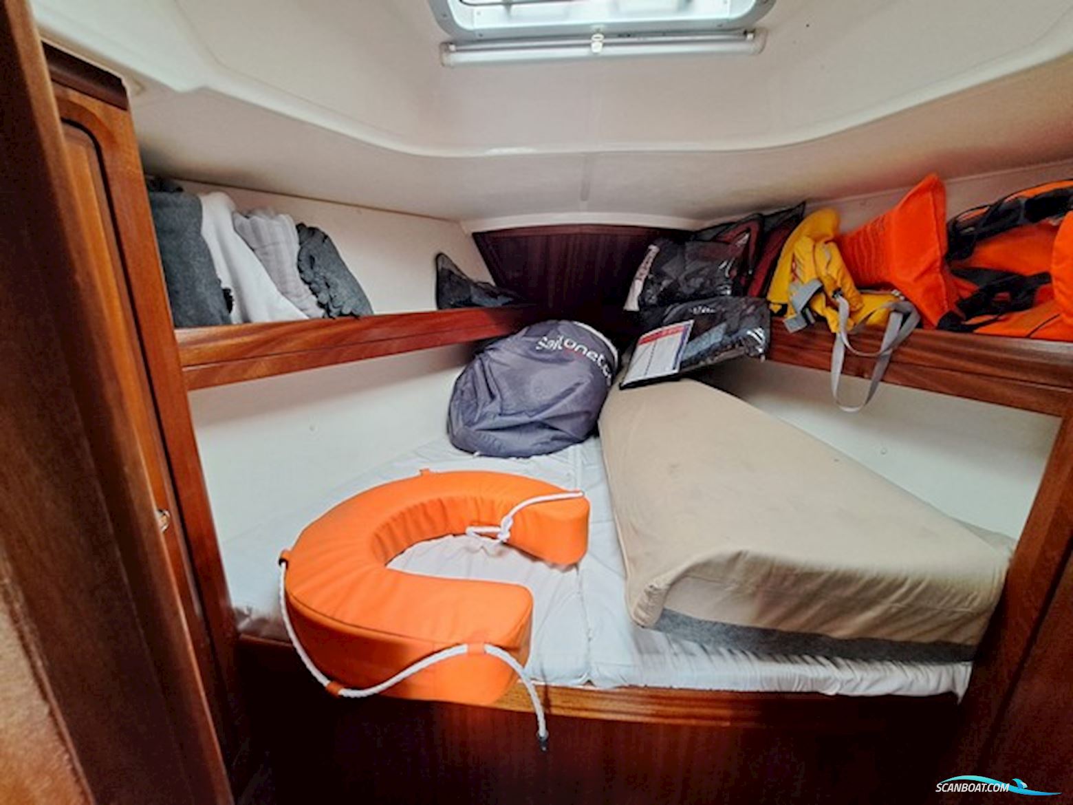 Bavaria 31