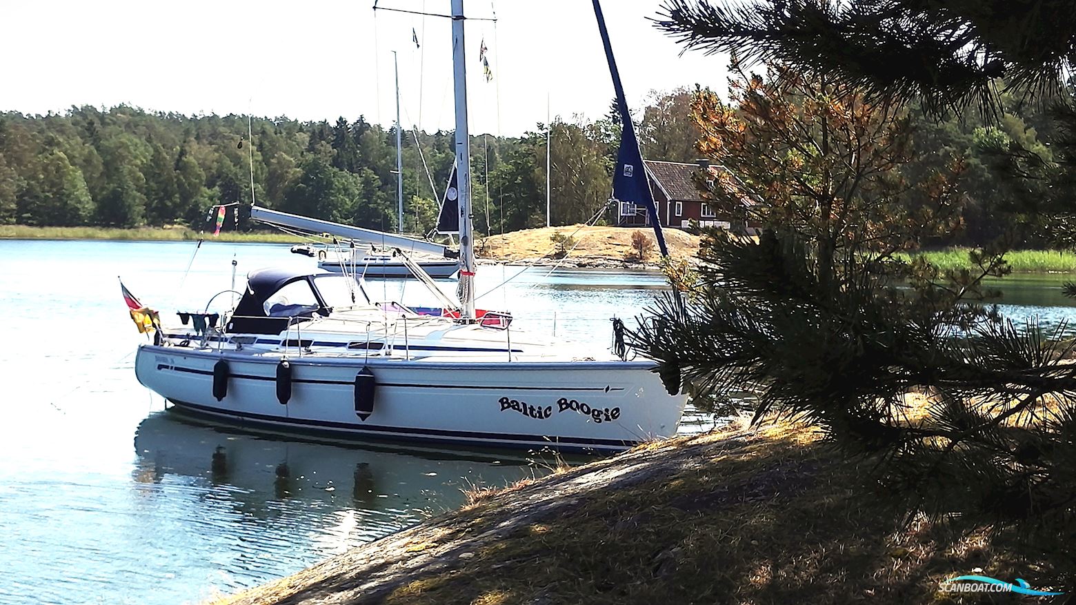 Bavaria 36-2