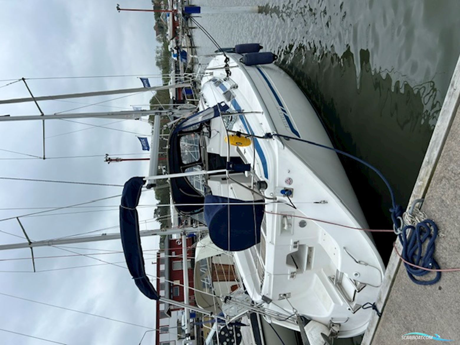 Bavaria 37 C