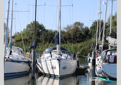 Bavaria 37 Cruiser Sailingboat 2006, with Volvo Penta D1-30 engine, The Netherlands