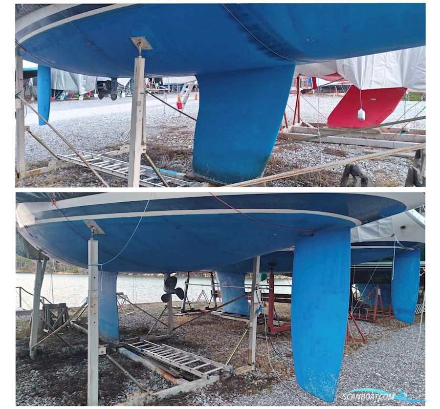 Bavaria 41