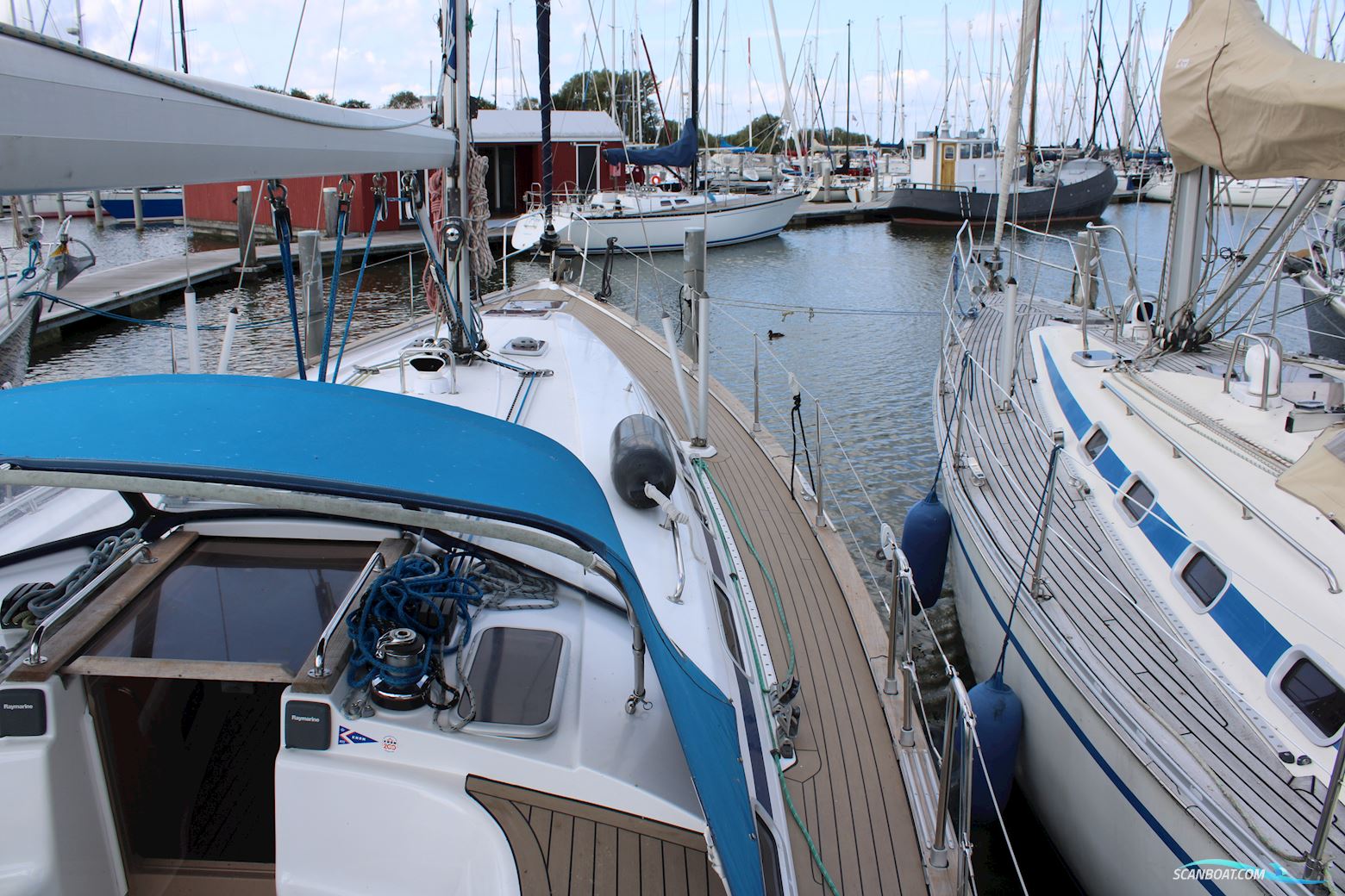 Bavaria 44