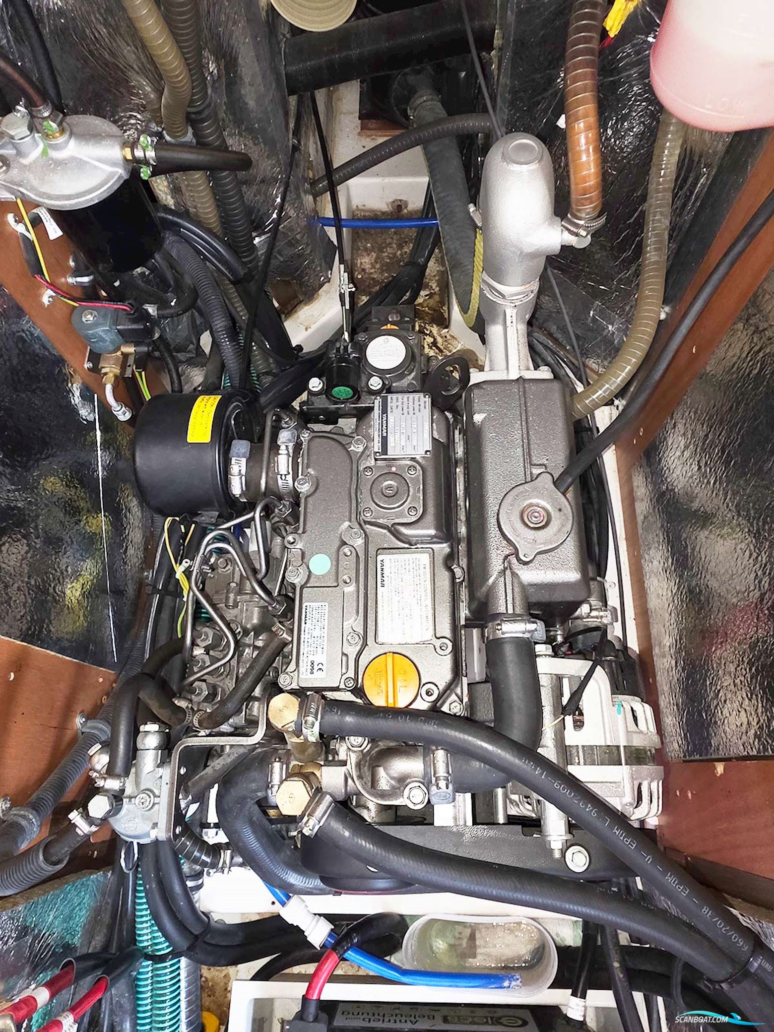 Bavaria C 38