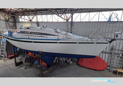 Beneteau First 30 E Sailingboat 1984, with Volvo Penta engine, Germany