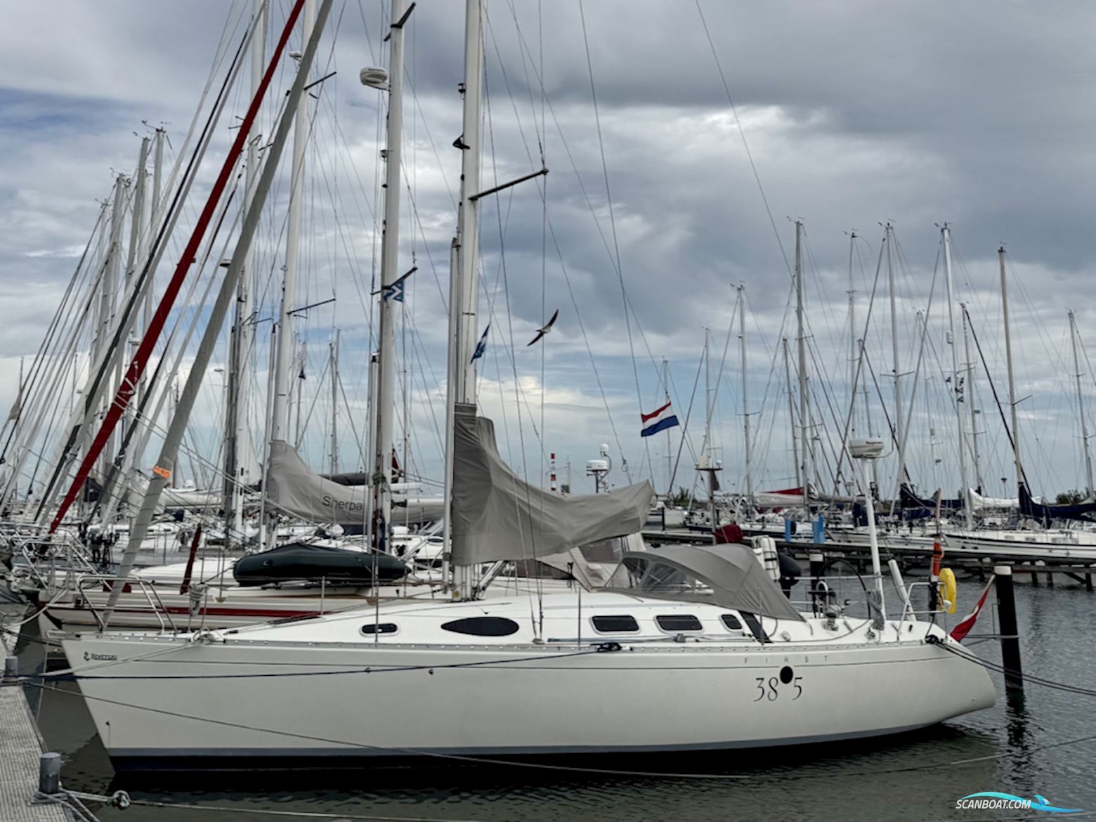 Beneteau First 38s5