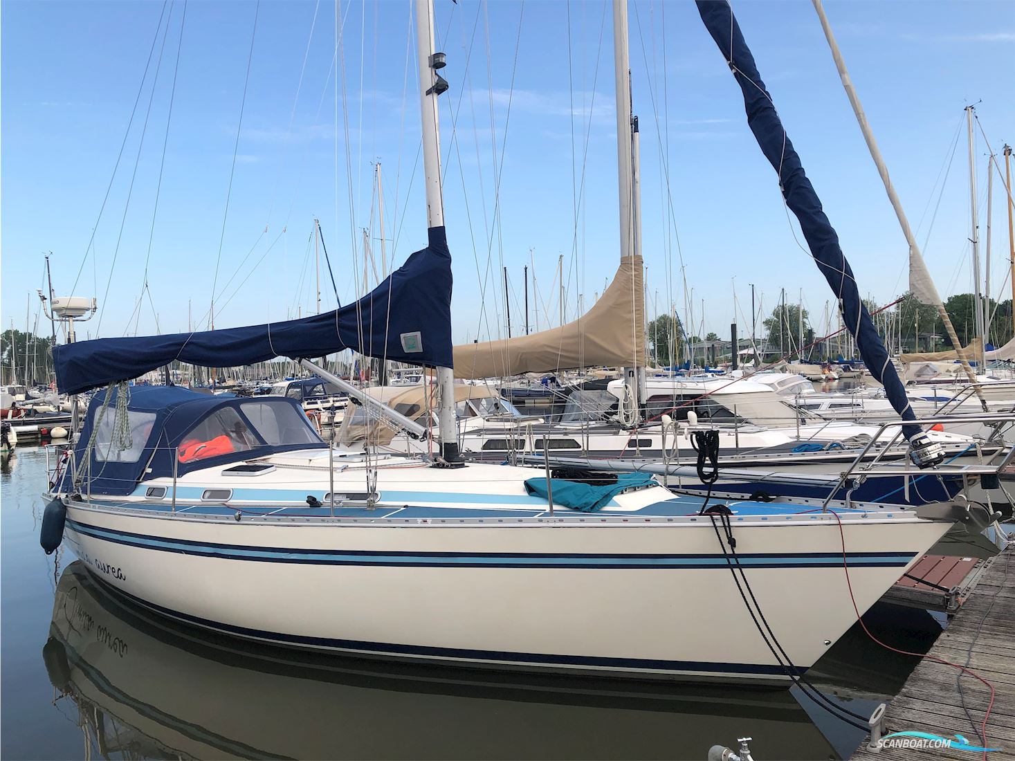 Bianca 107