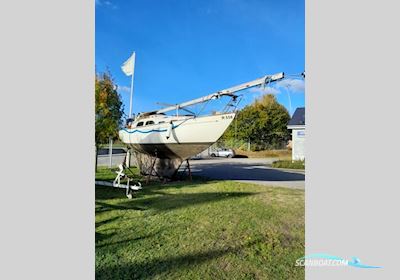 Bianca 27 Motorsejler Sailingboat 2024, with Bukh DV10 engine, Denmark