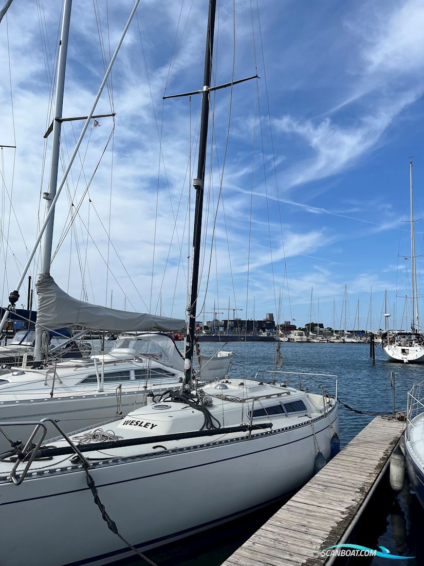 Bianca 28 Sailingboat 1975, with Yanmar YSE 8 engine, Denmark