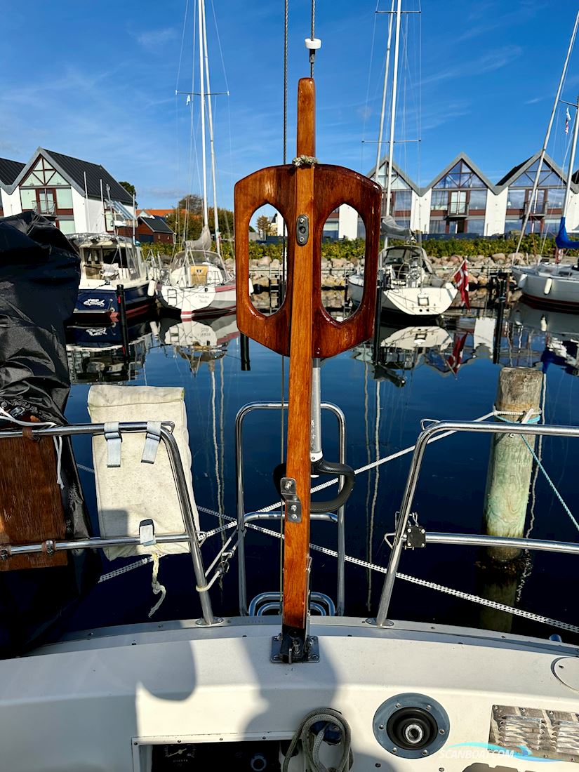 Bianca 320