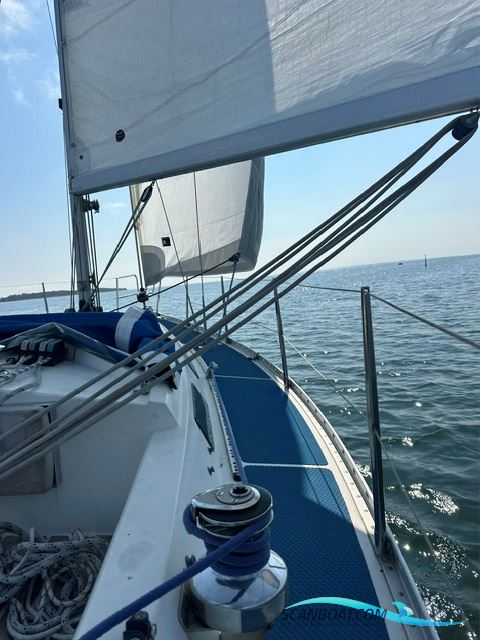 Bianca 320