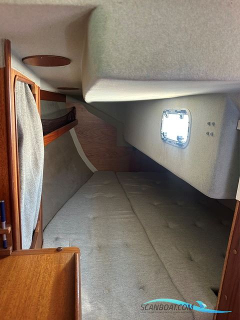 Bianca 320
