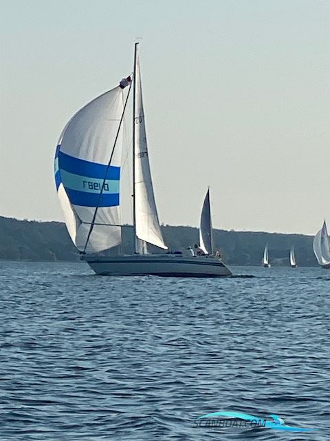 Bianca 320