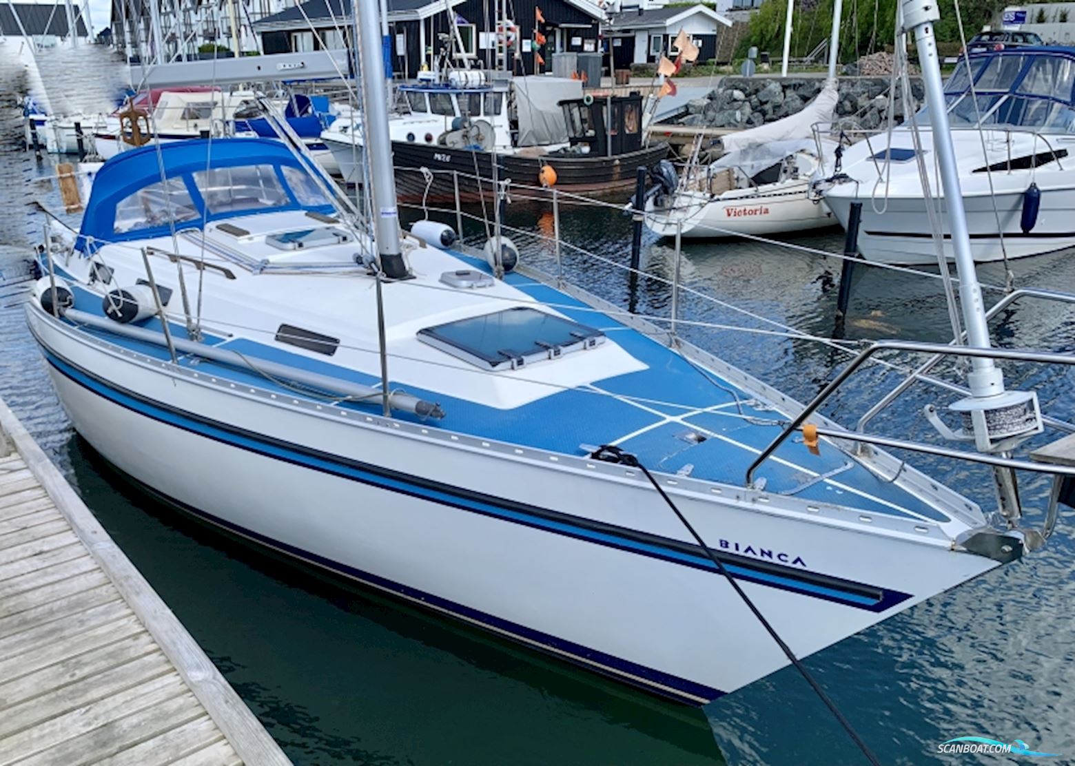 Bianca 320 Sejlbåd