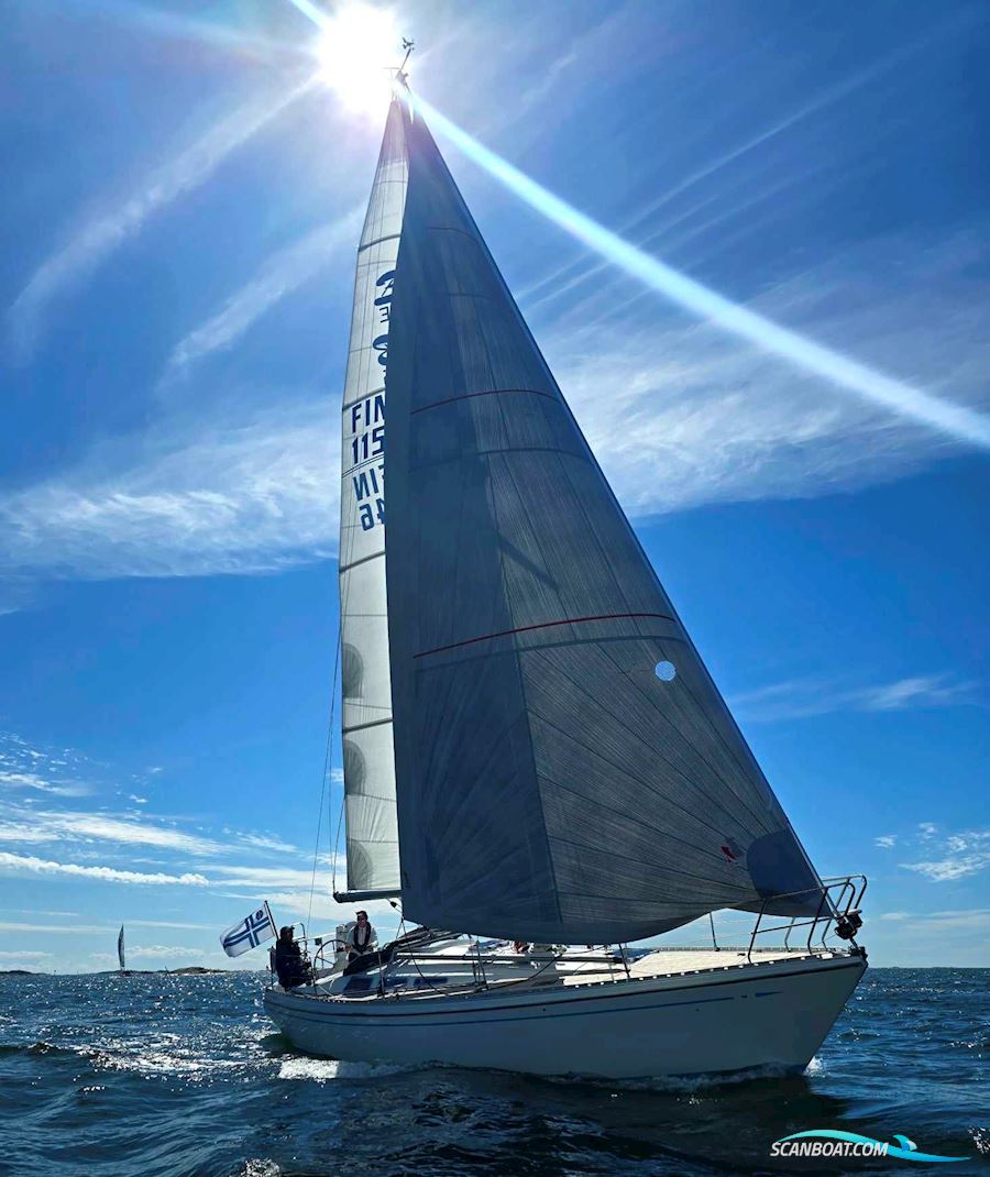 Bianca 36