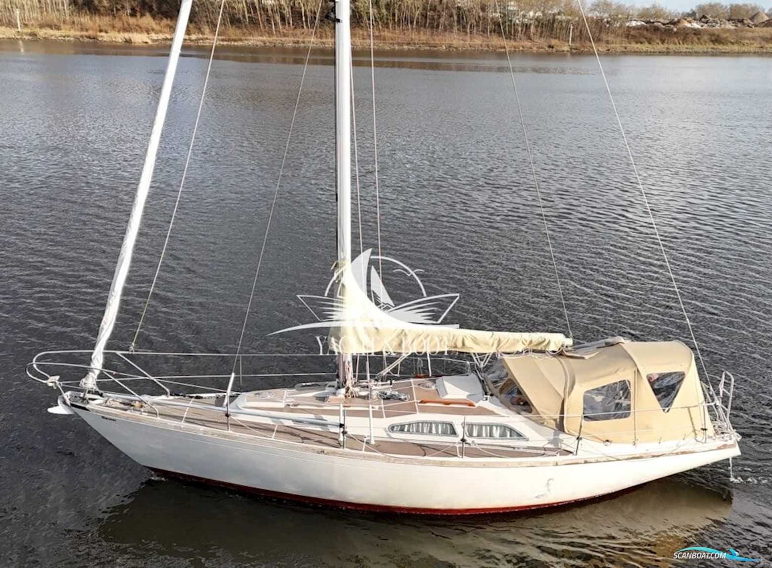 Bianca Commander 31