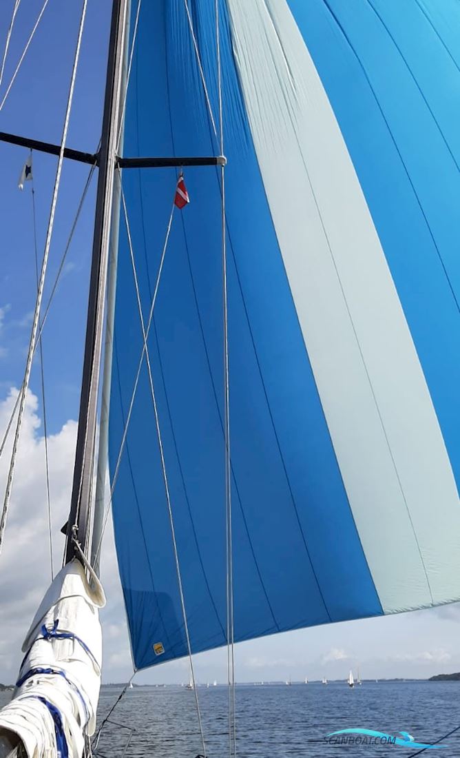 Bianca Riviera 32 Sailingboat 1981, with Buhk DV24 ME  engine, Germany