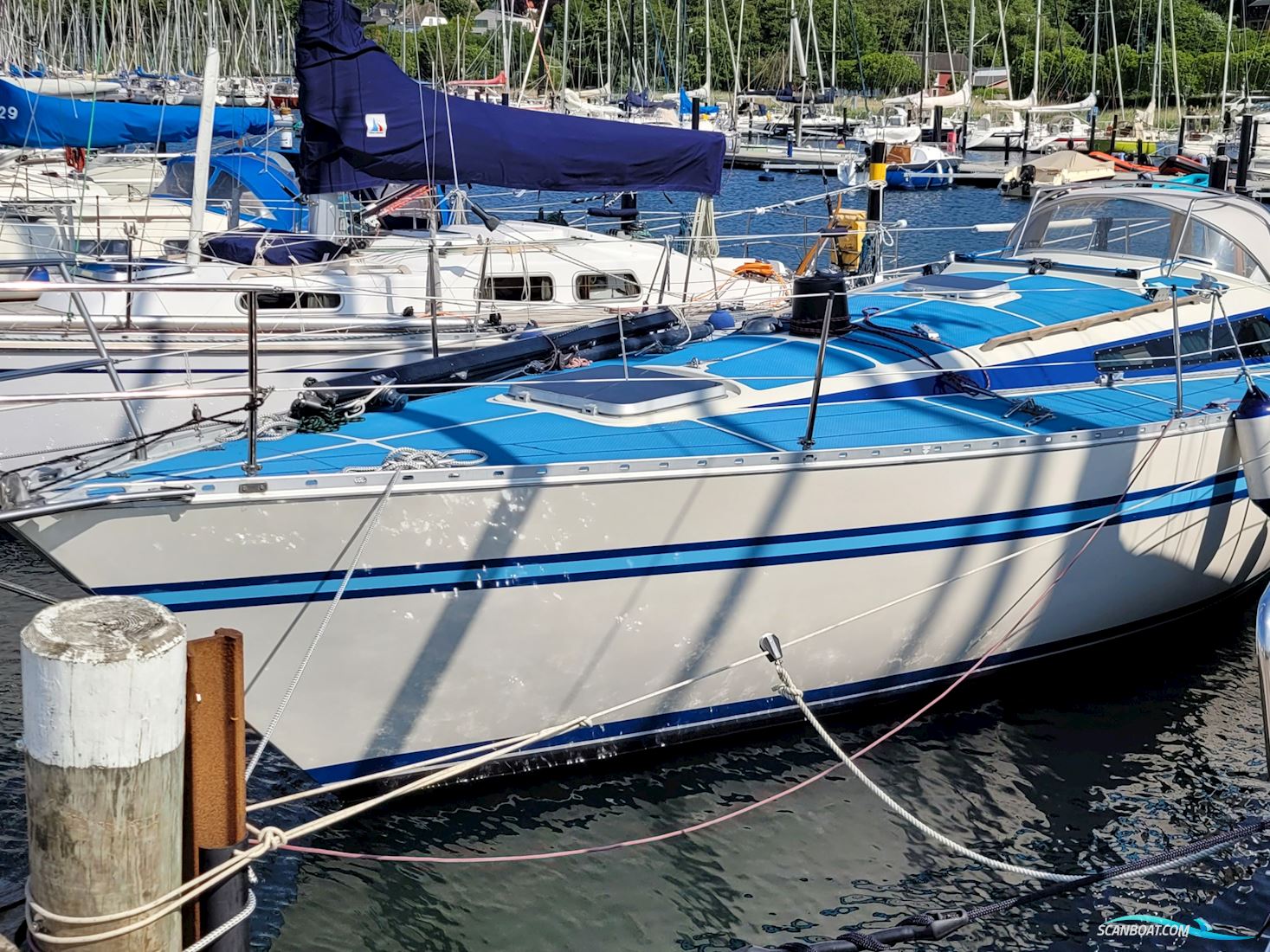 Bianca Riviera 32