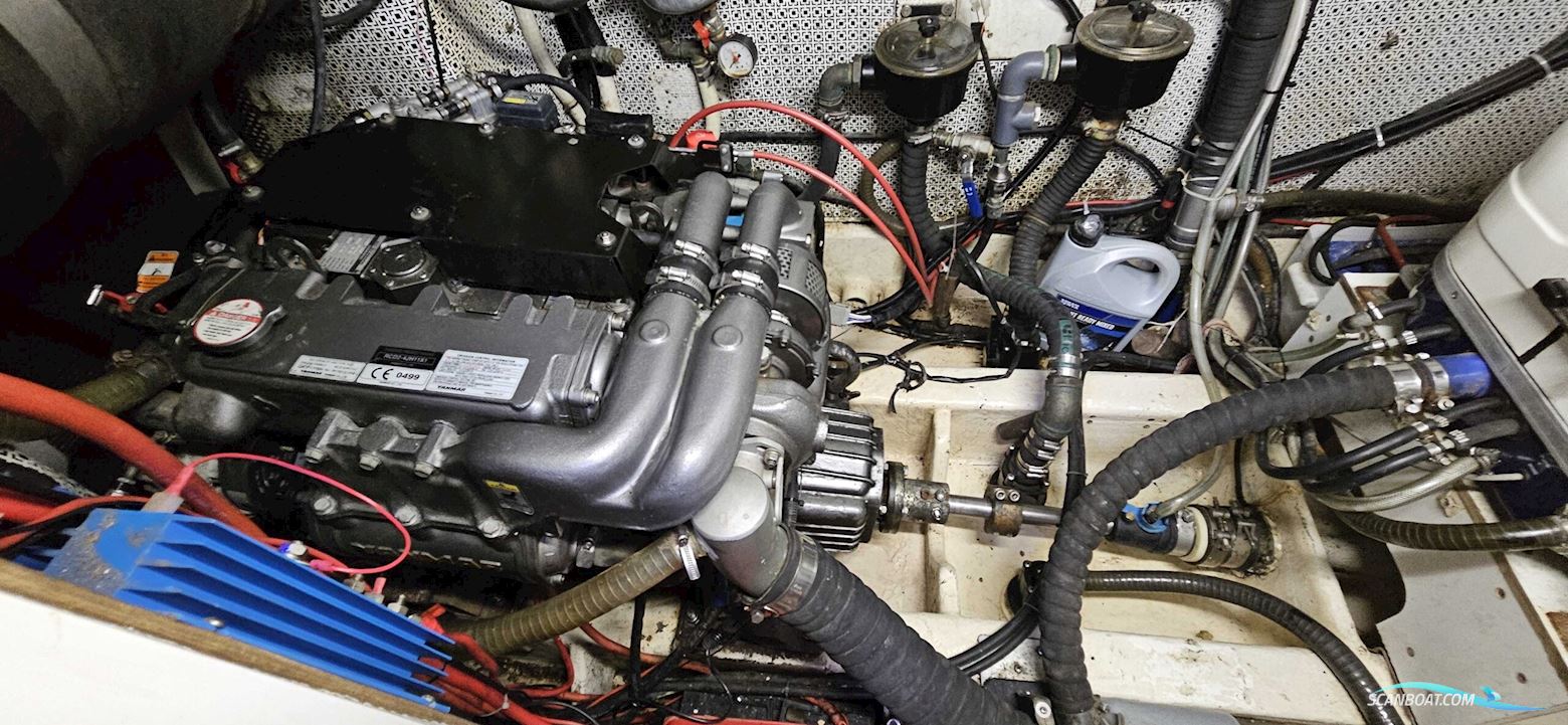 BIANCHI Berret-Racoupeau