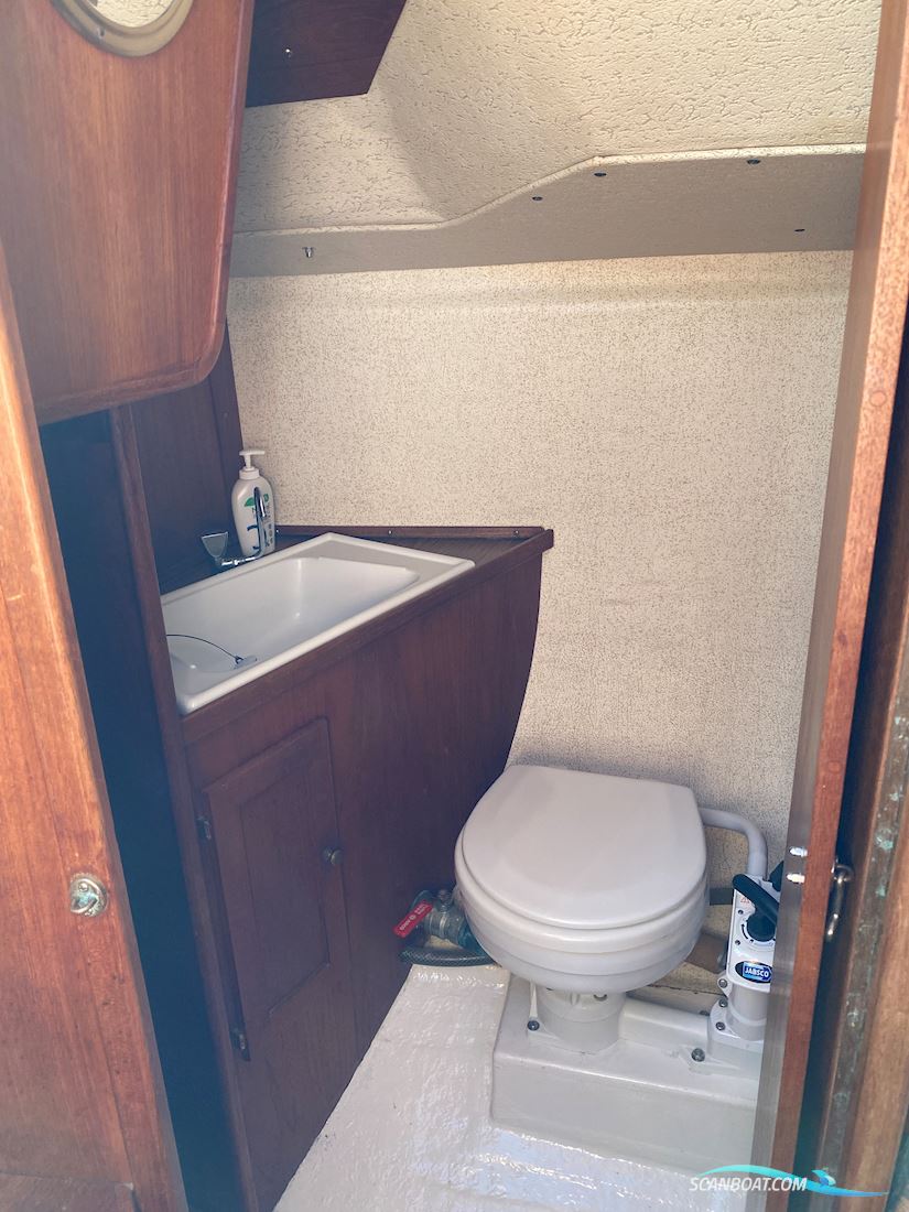 Birdie 32
