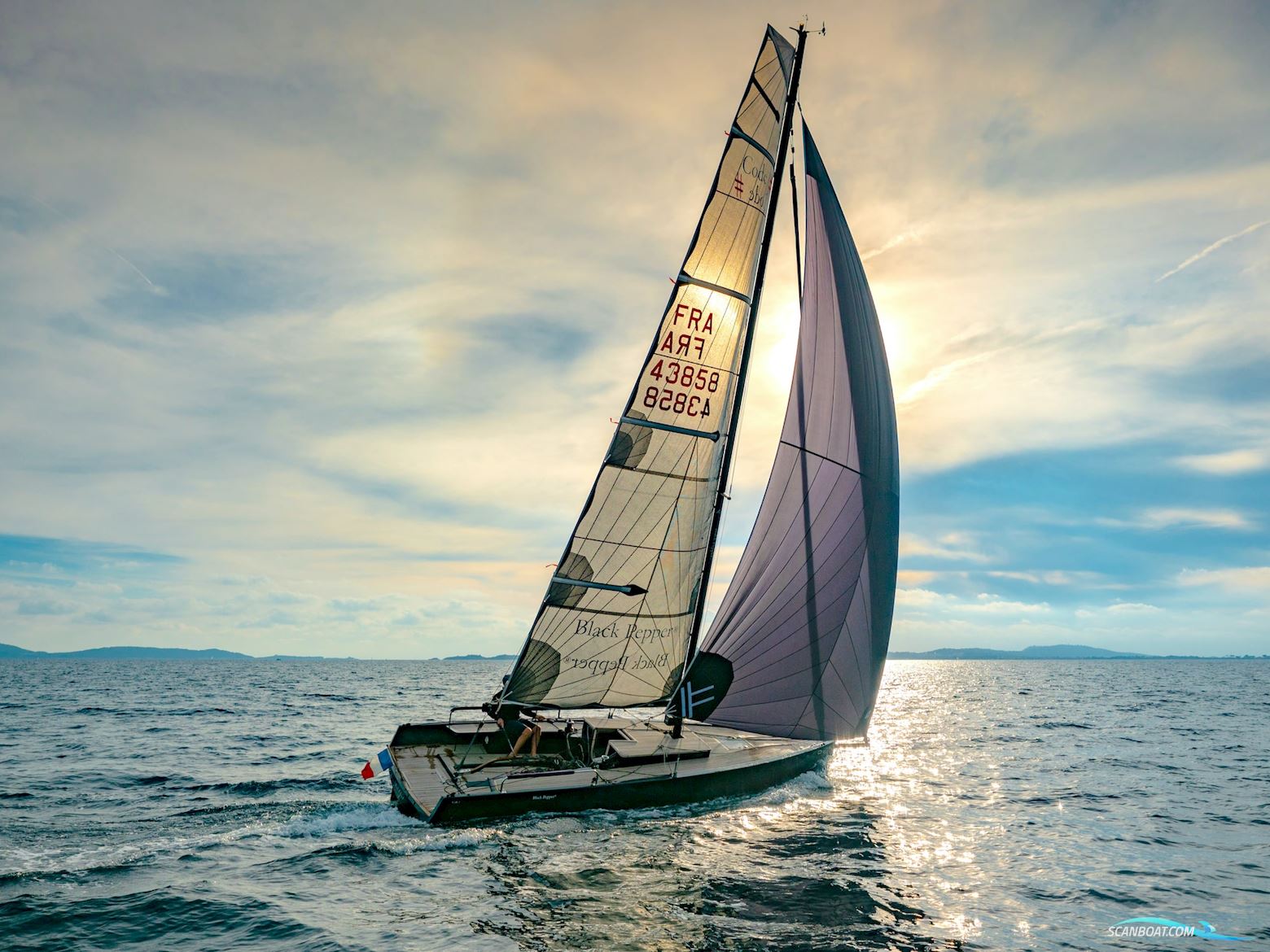 Black Pepper Code # daysailer