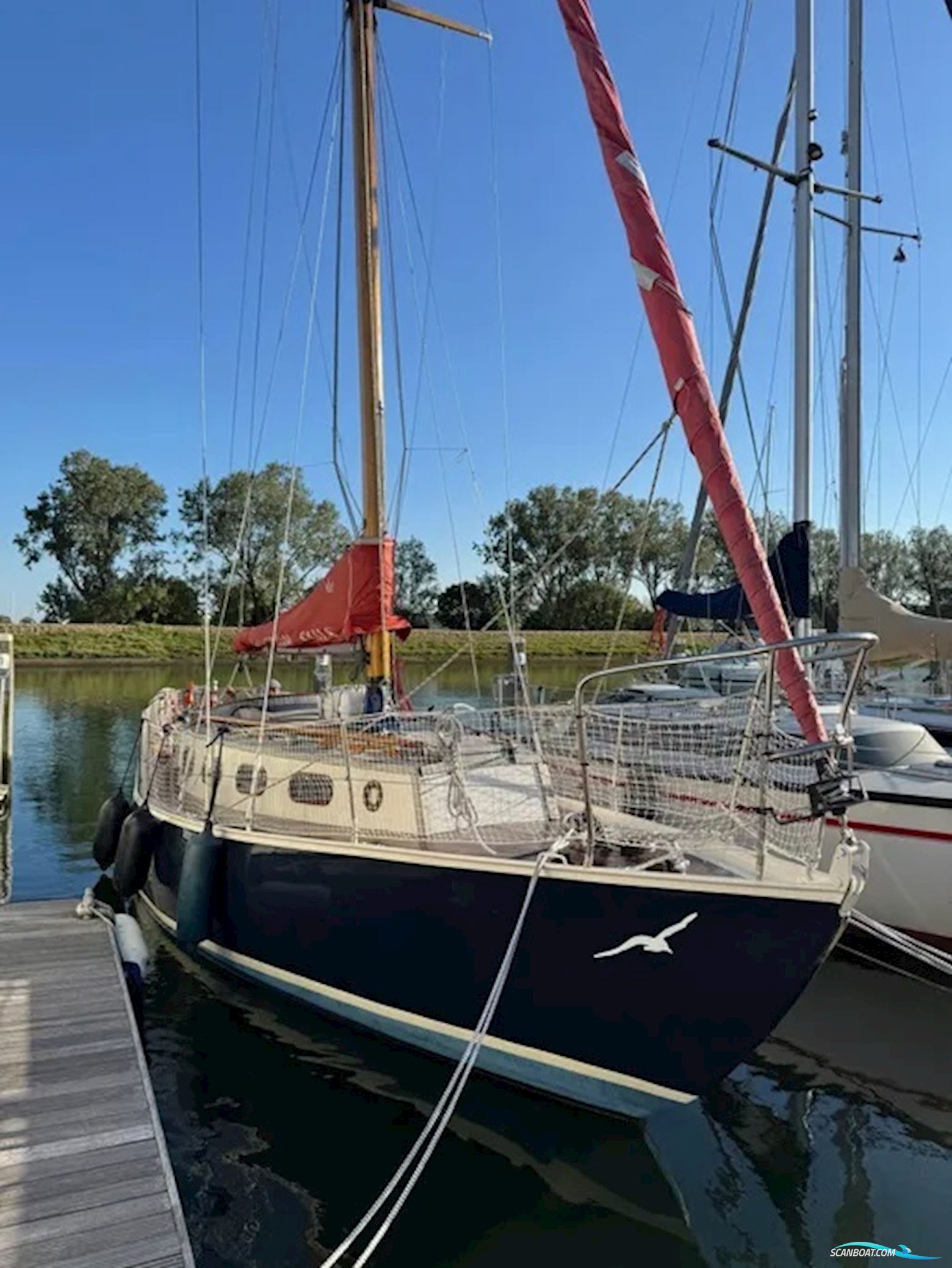 Blauwvoet Custom Steel 10 Meter