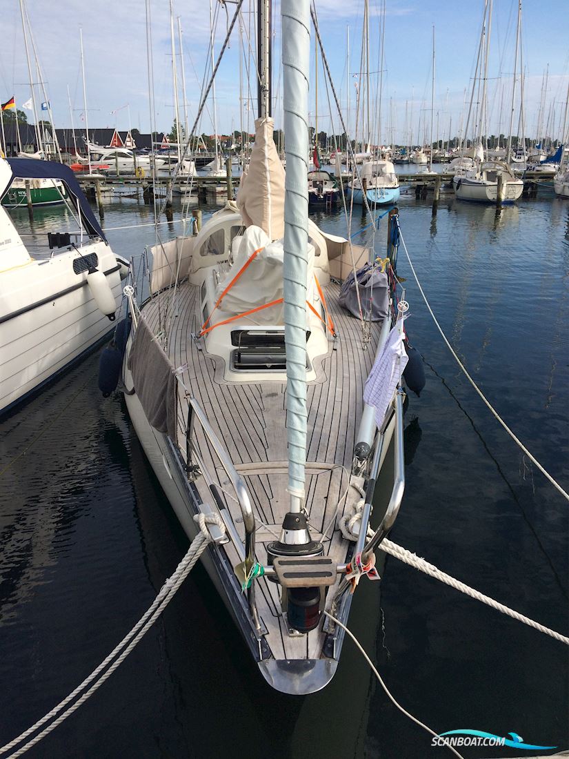 Blue Dane 32