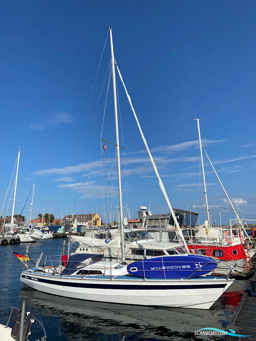 Boheme 10 Meter 