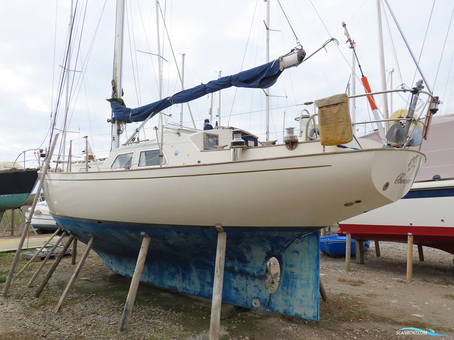 Bowman 36
