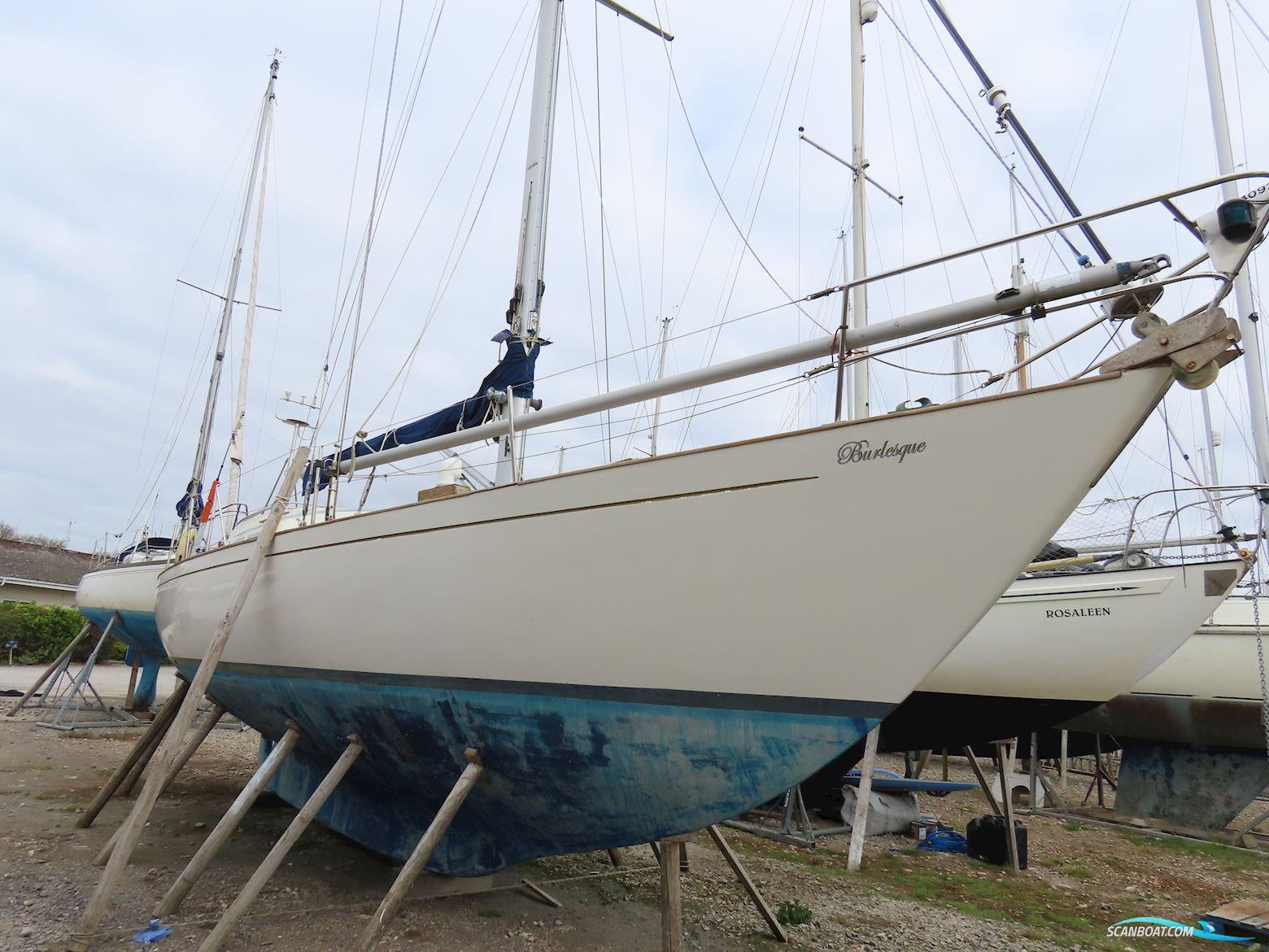 Bowman 36